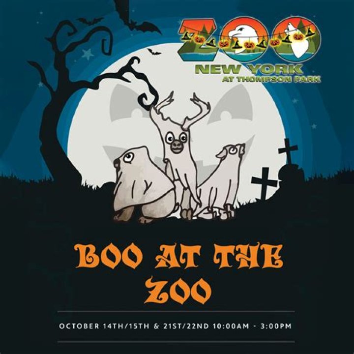 Boo at the Zoo | Macaroni KID South Shore Boston