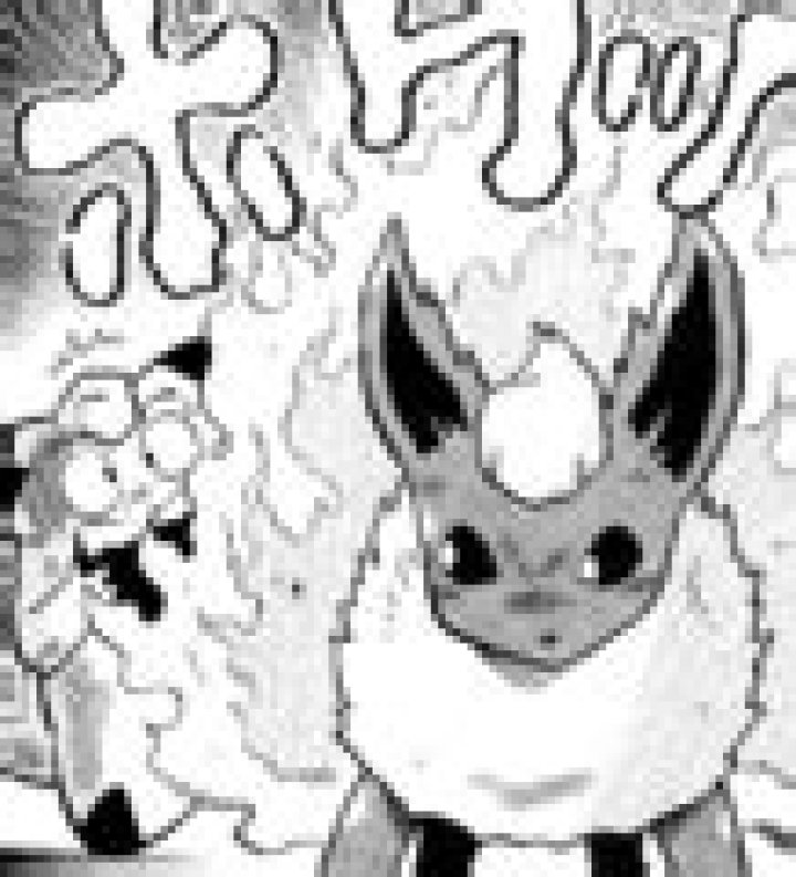 Category:Flareon - Bulbagarden Archives