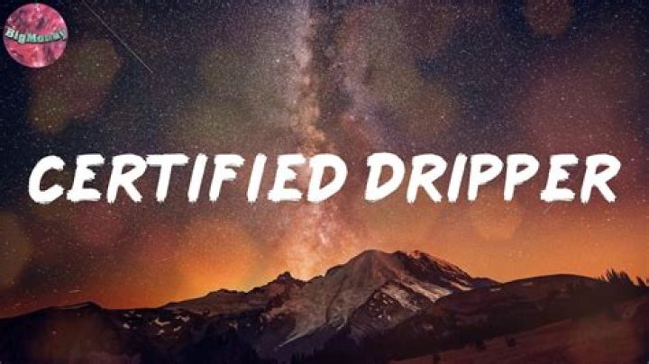 Certified Dripper 2 Lyrics - Certified Dripper 2 Translations