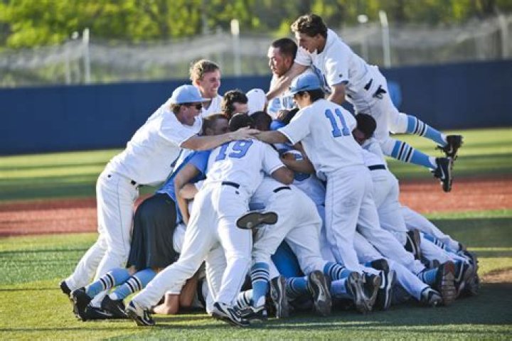 Dartmouth Baseball, 2010 Ivy League champs