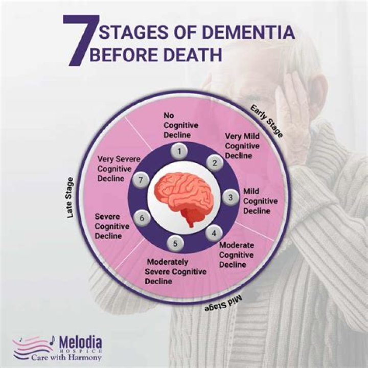 Do Dementia patients often lie or be deceitful?