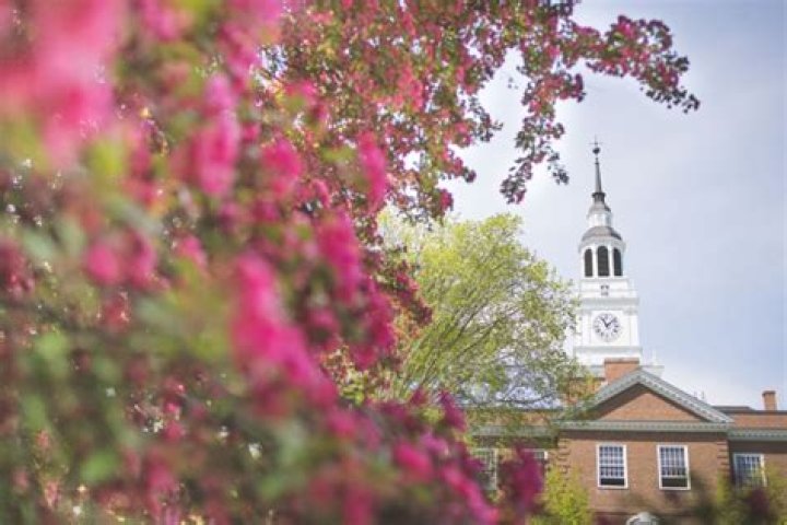 New Dartmouth Center Applies AI to Improve Health Outcomes