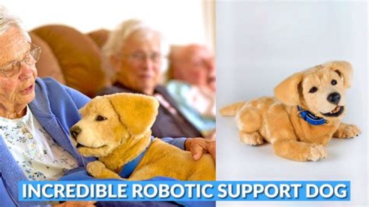 New robot dog! | Dementia Support Forum