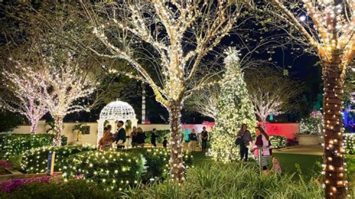 Our Favorite Holiday Lights in Lincoln 2019