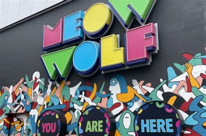 Road Trip Review: Meow Wolf in Denver, CO