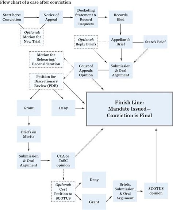The Crucial Role of an Appeal Draft in the Appellate Process