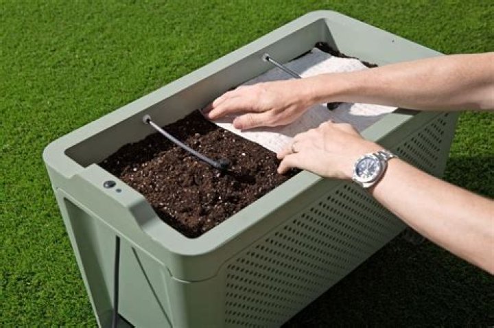 The Grow Duo Device Connects Your Plants to Your Smartphone
